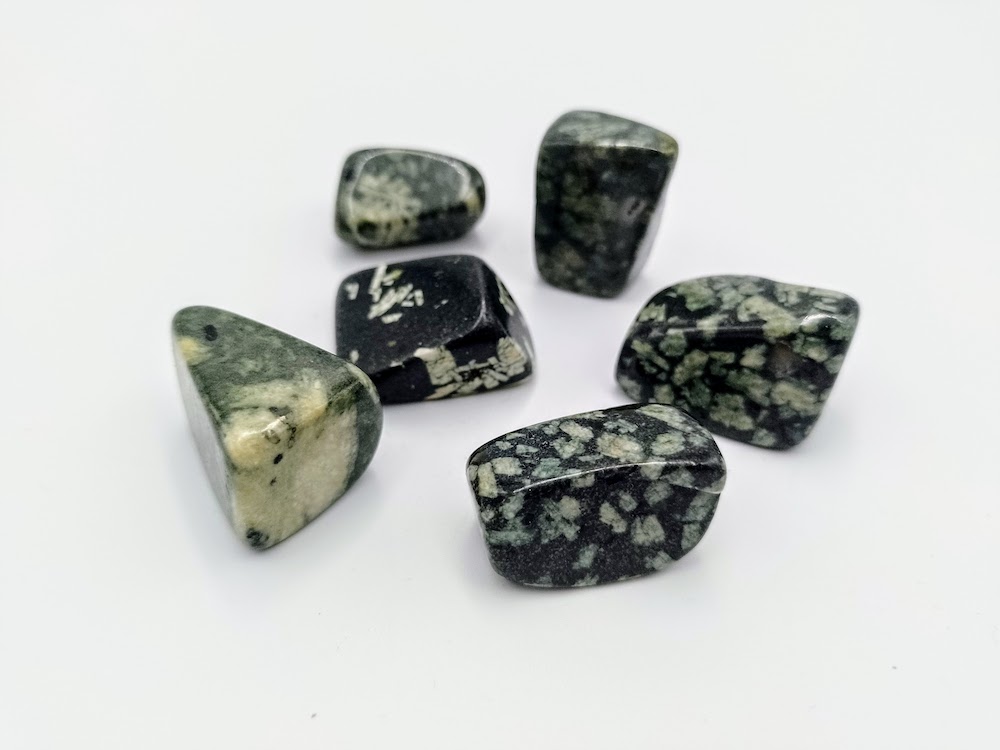 Chryzantem